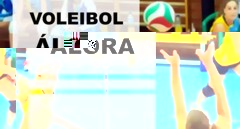 Club voleibol #lora - C.v. Nerja