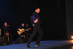 El Teatro Cervantes acoge un espectculo flamenco