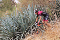 lora celebra con xito la 14 BTT Ciudad de lora