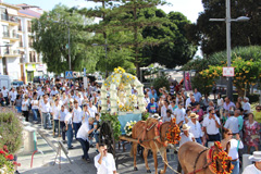 Subida de la Virgen de la Cabeza a la Parroquia de la Encarnacin