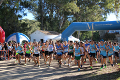 Gran ambiente en el XXIII Circuito Campo A Travs Ciudad de lora