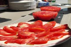 Arranca la campaa del Tomate Huevo de Toro
