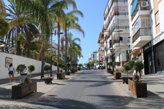 lora embellece la Avenida Cervantes con jardineras