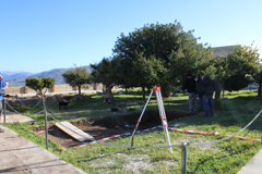 El Ayuntamiento acomete labores de exhumacin en las fosas del Castillo